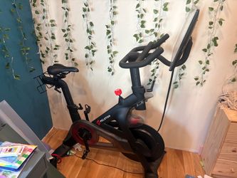Peloton