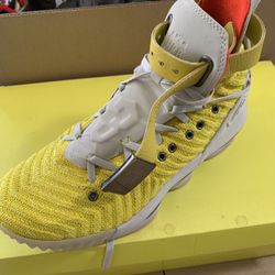 Lebron Xv1