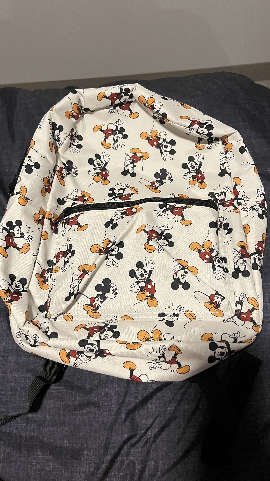 Back Bag