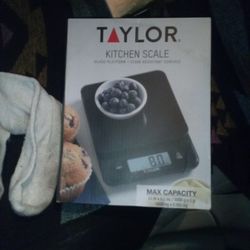 Taylor Kitchen Scale