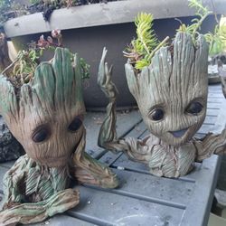 Groot Planters With Succulents