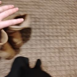 New High Heels 