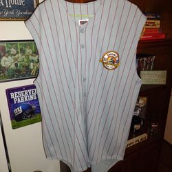 Bronx baseball jersey