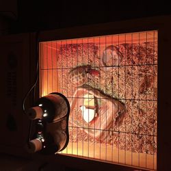 Russian Tortoise  With Box And Heat Lamp