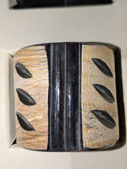 Napkin Holders
