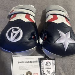 Hayabusa Boxing Gloves 