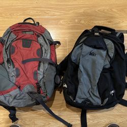 Rei Day Pack Backpacks