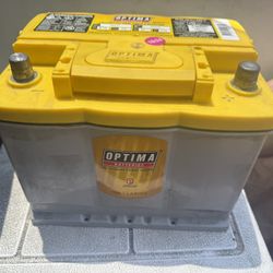 Optima Yellow Cap 