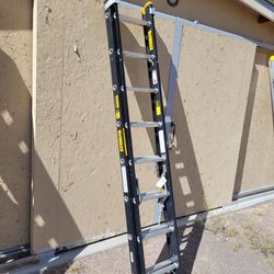 Dewalt 16ft Ladder 