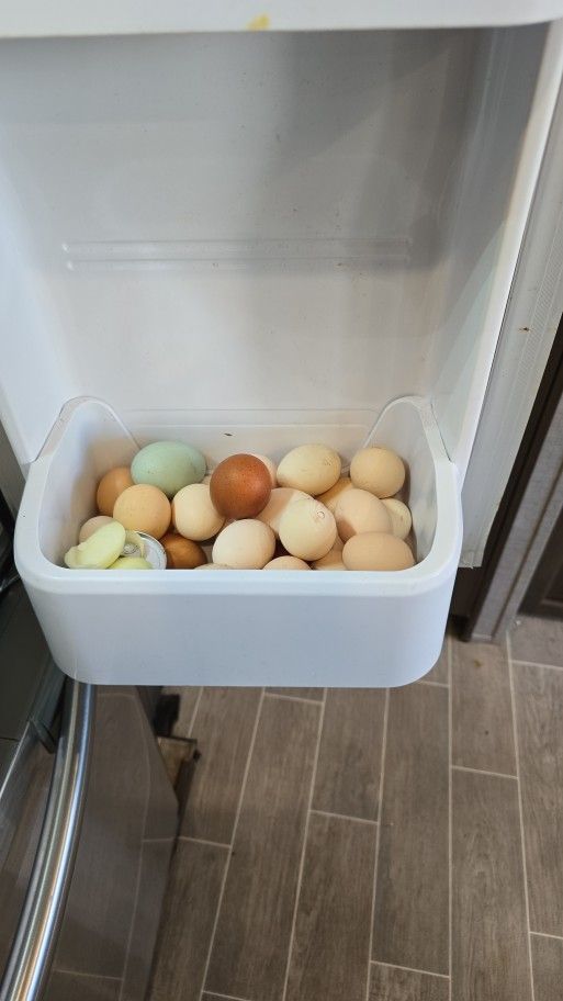 Huevos De Gallinas Araucanas
