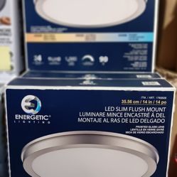 LED Ceiling Lights $20 Each