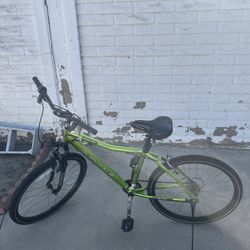 Green Cruiser bike 