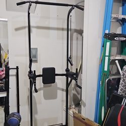 Pull Up And Dip Station And Medicine Ball Holder