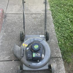 Push Lawn Mower 21 In 