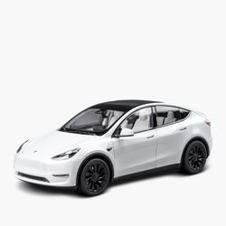 Scale Model Y Diecast 1:18