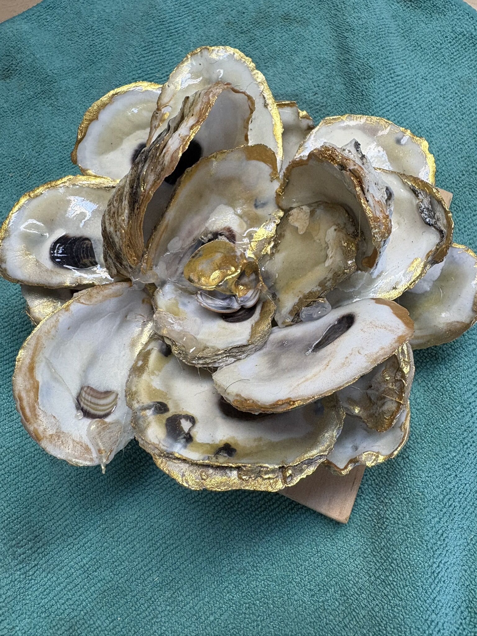 Oyster Shell Magnolias