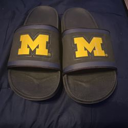 Size 9 Michigan Slides