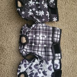 Washable dog diapers