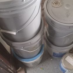 5 Gallons Of Paint