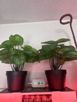 Artificial plants
