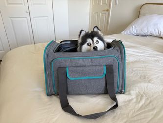 Soft-Sided Pet Travel Carrier Bag