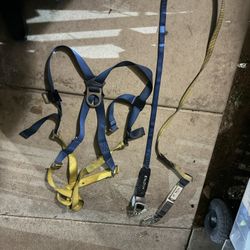 Safety Harness 