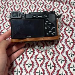 Sony A6100
