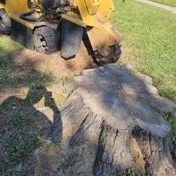 11 Stump Grinding 