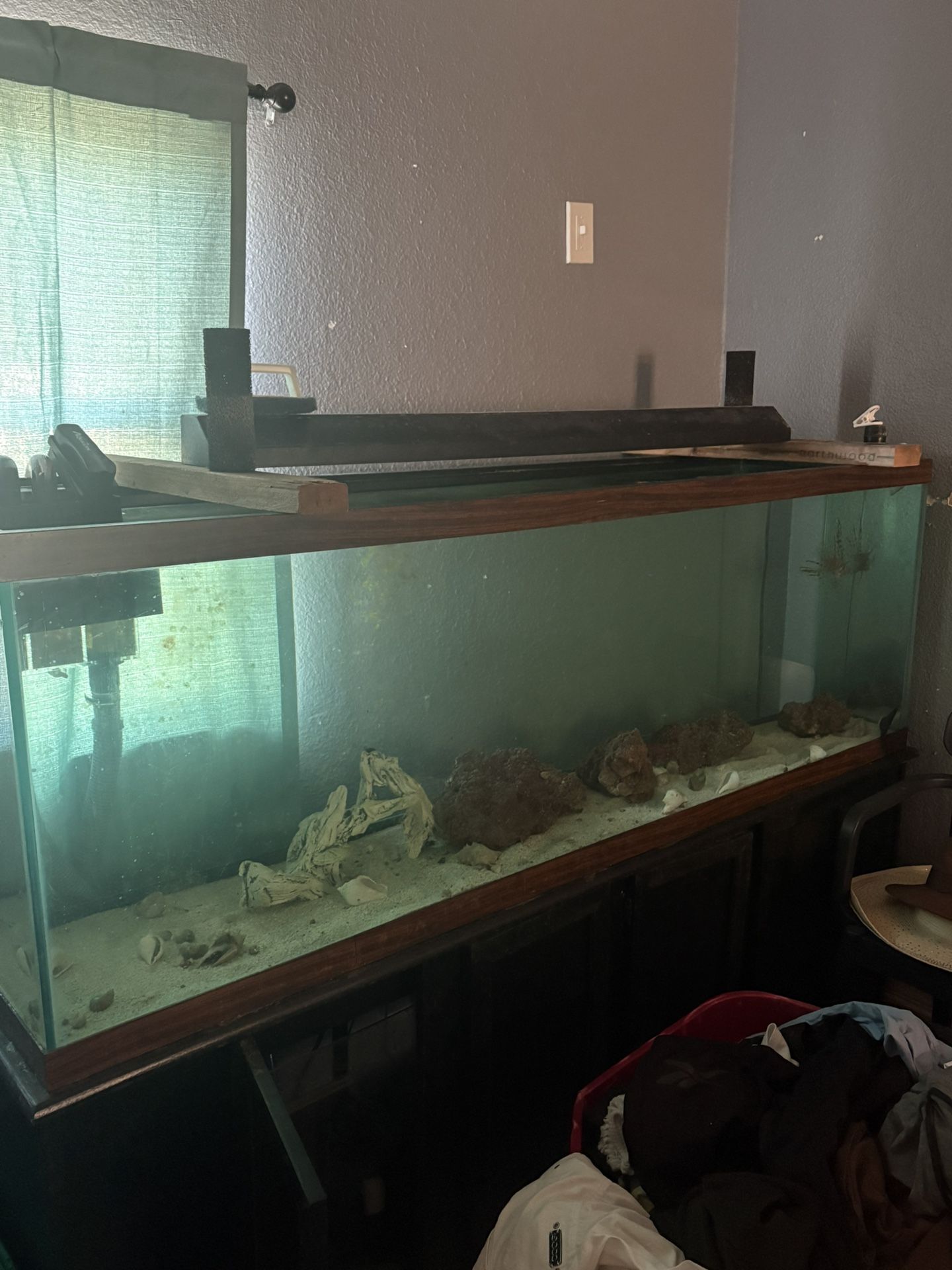 110 Gallon Saltwater Set Up