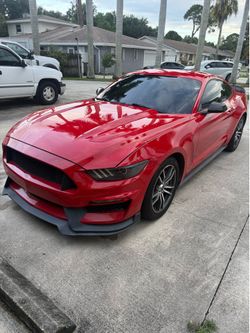 Mustang