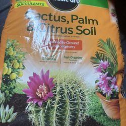 Miracle-Gro Cactus,Palm And Citrus Soil