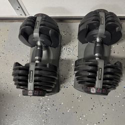 Bow flex 525 Dumbbells 