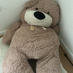 Giant Teddy