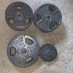 Gold’s Gym Weight Plates Bundle ( + 2 Weight Bars)