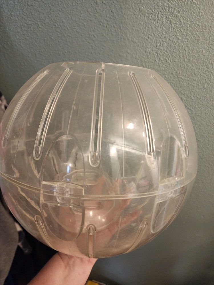 Xl Pet Ball