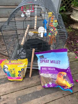 Bird cage with toys and food