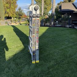 18 Foot Gorilla Ladder 