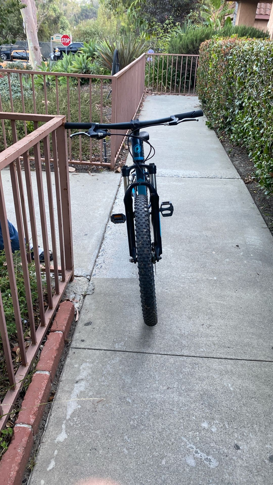 Polygon Relic Bike