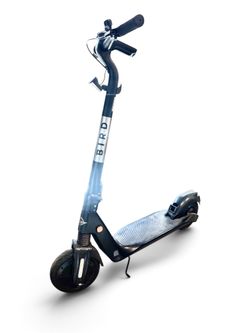 Bird Electric Scooter