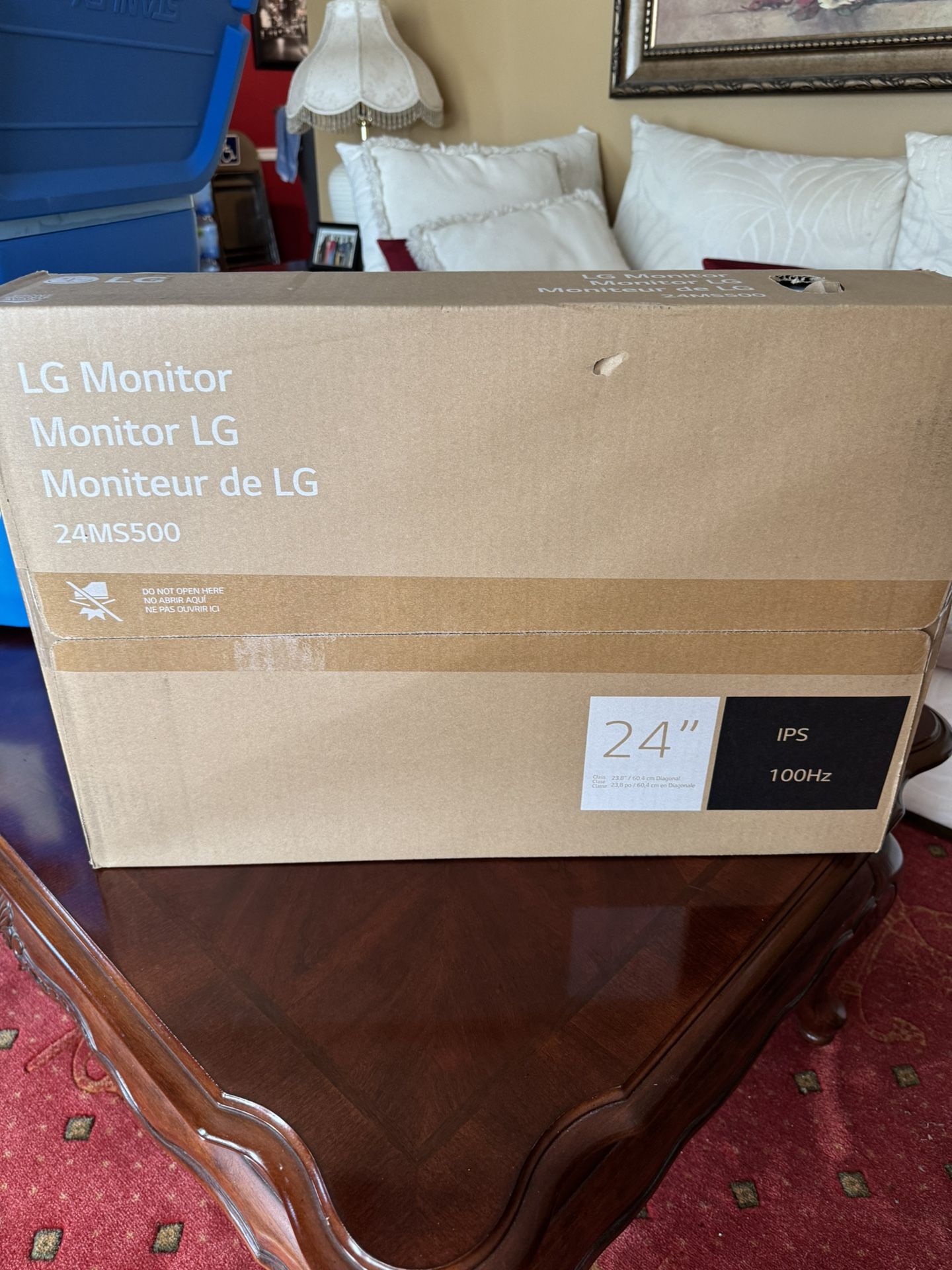 LG 24’ Monitor