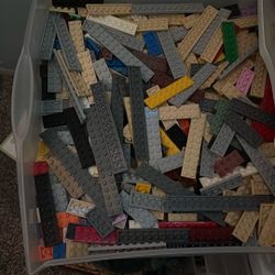 Lego Flat Pieces Whole Bin