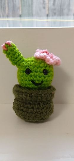 Crochet cute little cactus