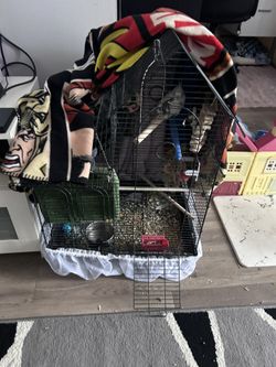 Bird Cage With Food , Toys And Food Catcher