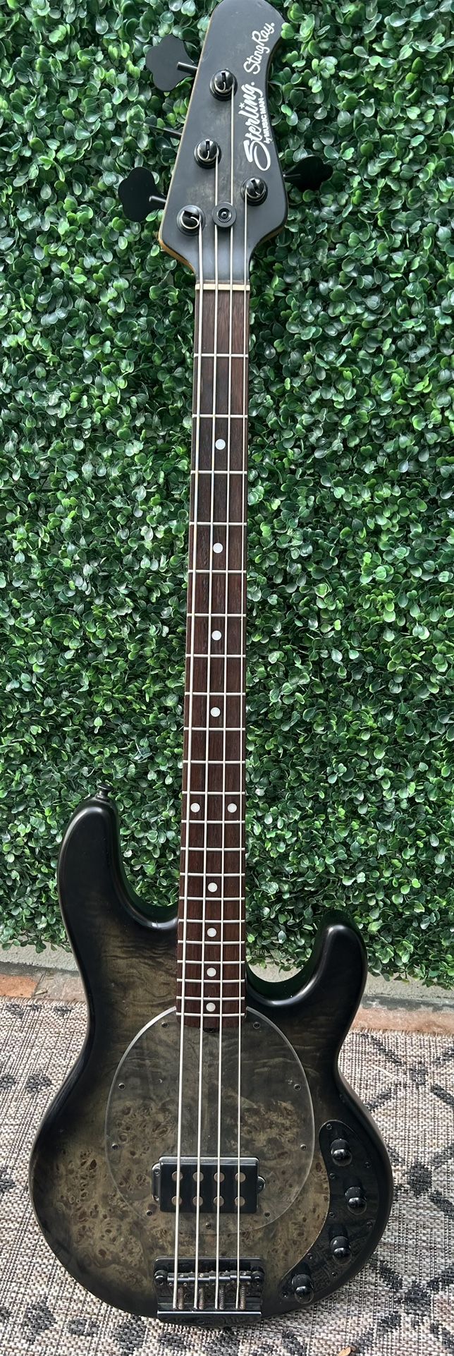 Musicman Stingray Ray34pb