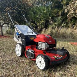 Nice Toro Self Propelled Lawn Mower With SmartStow 