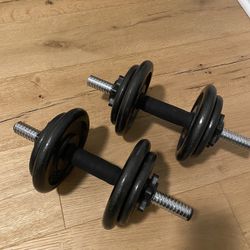 Dumbbell (Adjustable Weights) 