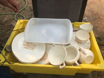 Plates and cups