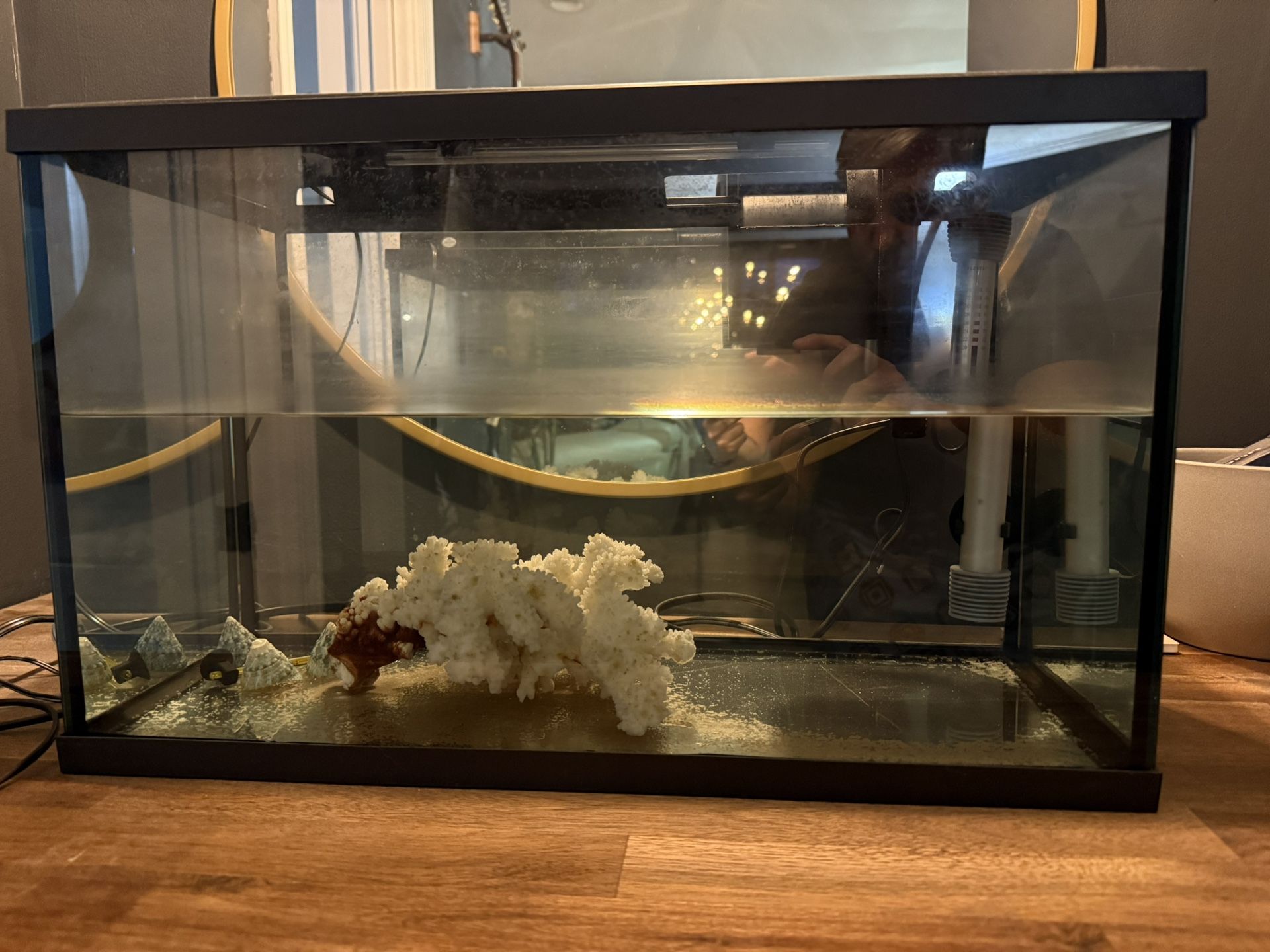 10 Gallon Fish Tank With Filter