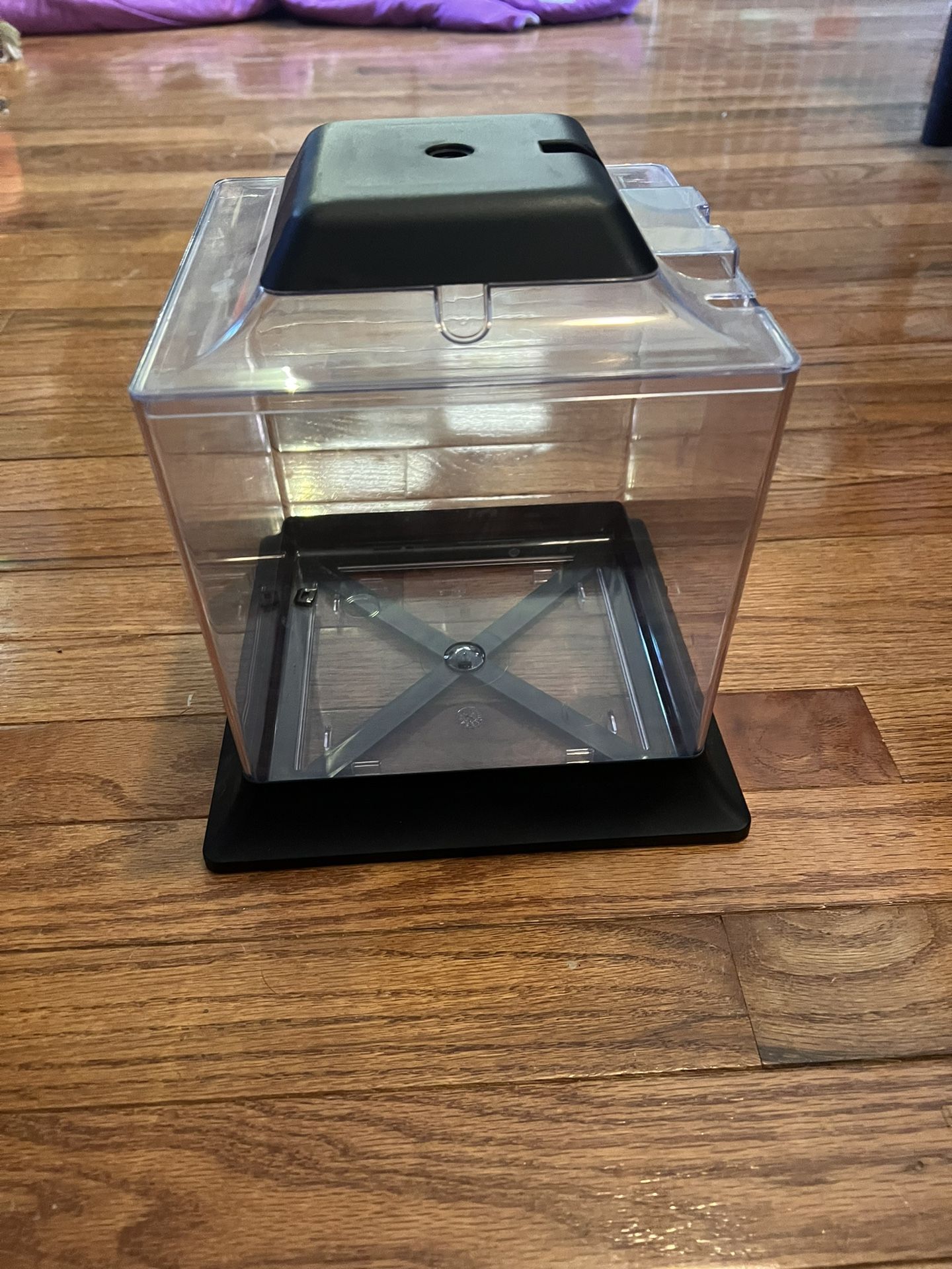 Beginner Fish Tank