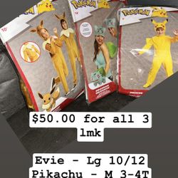 Pokémon Costumes 